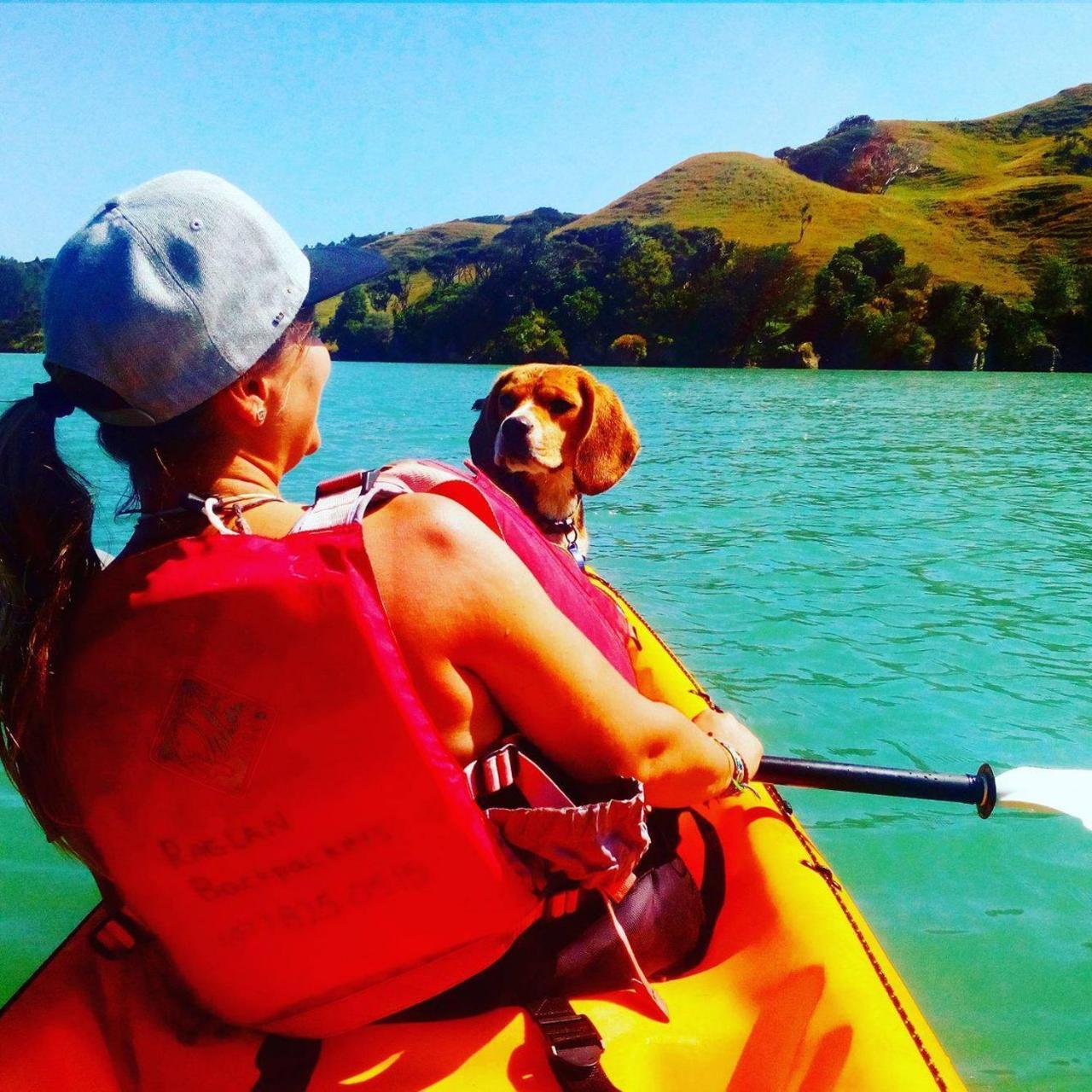 Хостел Raglan Backpackers Экстерьер фото